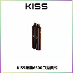 KIS5WAGOO哇酷6500口拋棄式 | 自由混搭雙口味 | 雙芯組合